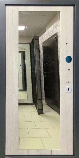 Тайгер Входная дверь Метеора 10.3, арт. 0004230 - фото №1