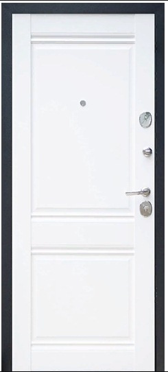 Двери 96 Входная дверь Гамма, арт. 0004520 - фото №1